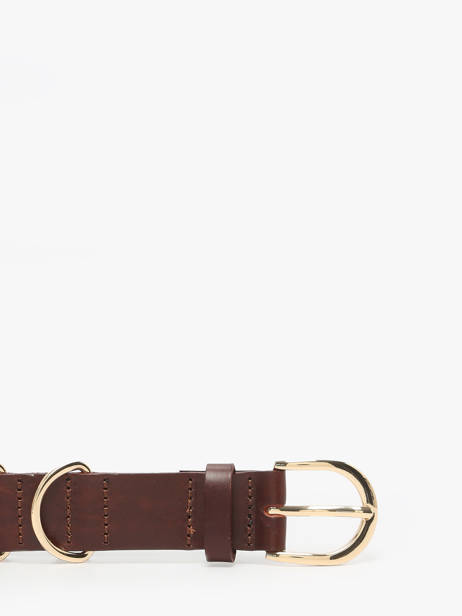 Ceinture Pieces Marron janni 17160106 vue secondaire 2